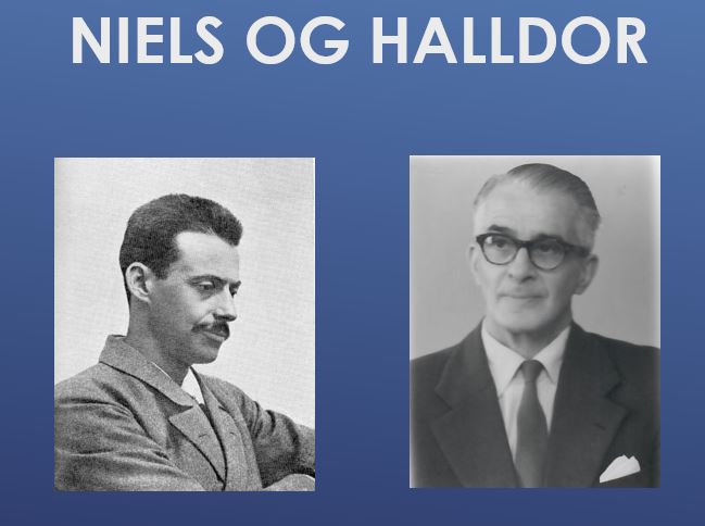 Niels og Halldor Finsen